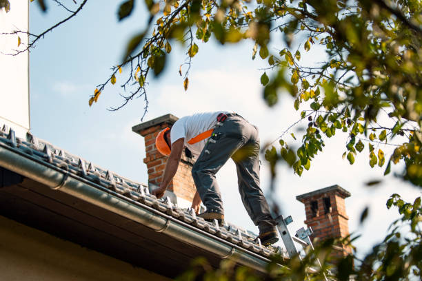 Best Gutter Installation and Roofing  in Fyffe, AL
