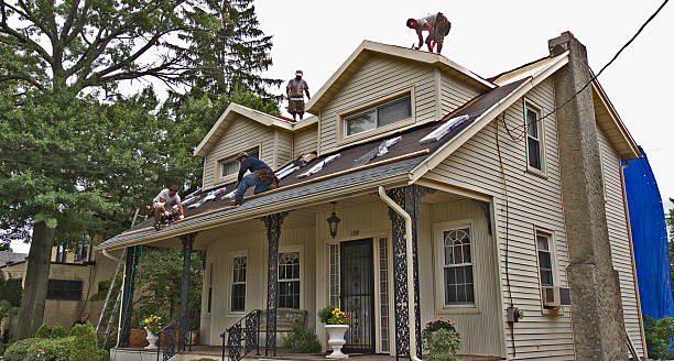 Best Storm Damage Roof Repair  in Fyffe, AL